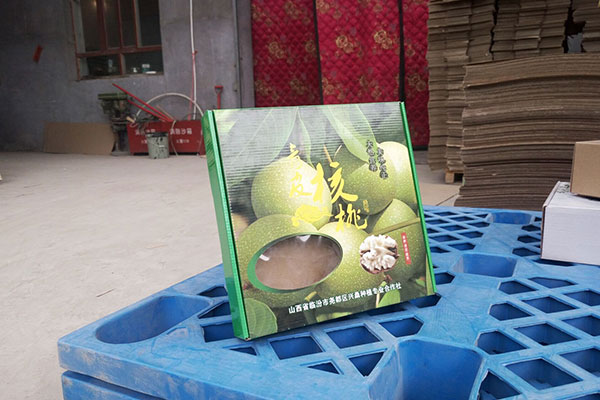 普通类纸箱